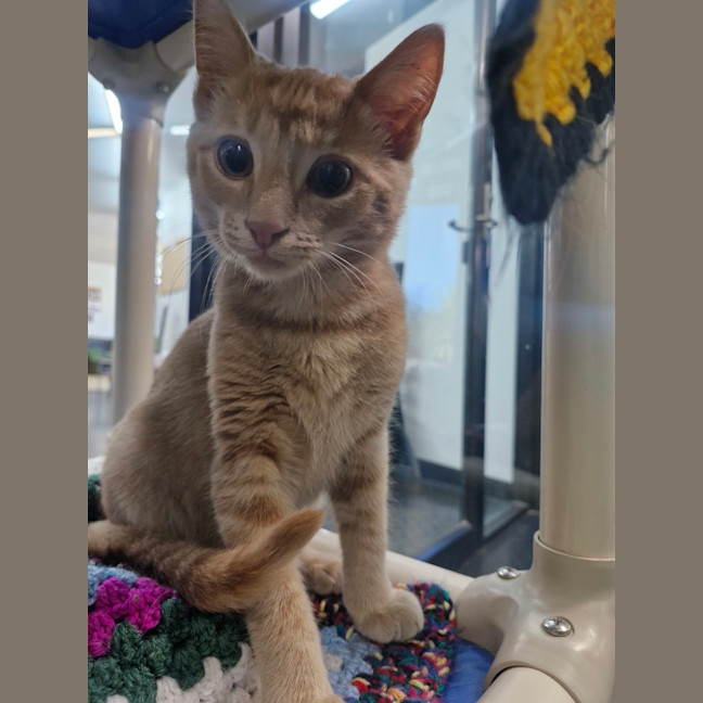 Photo of Ben Tennyson