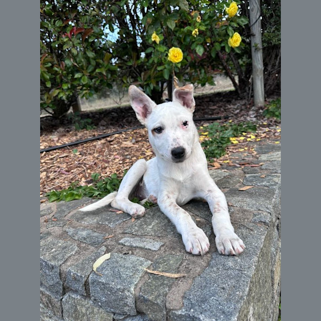 Photo of Moira