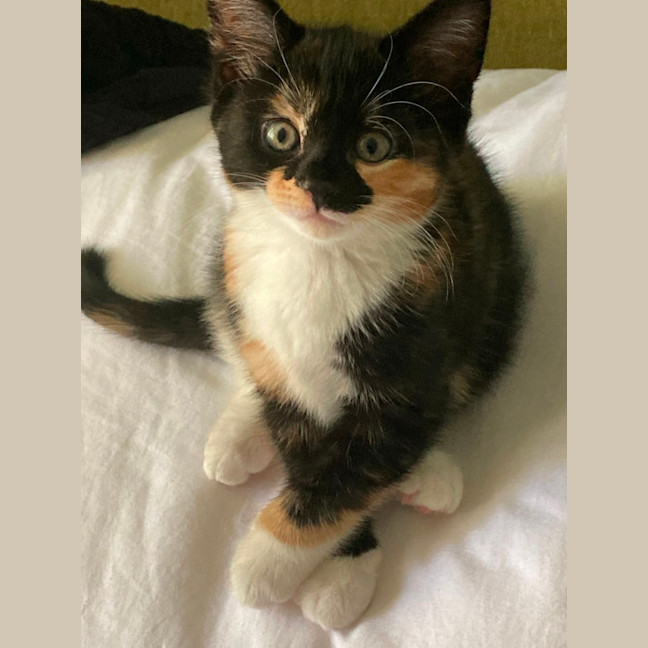 Photo of Frances