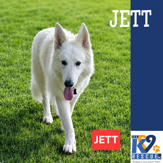 Photo of Jett