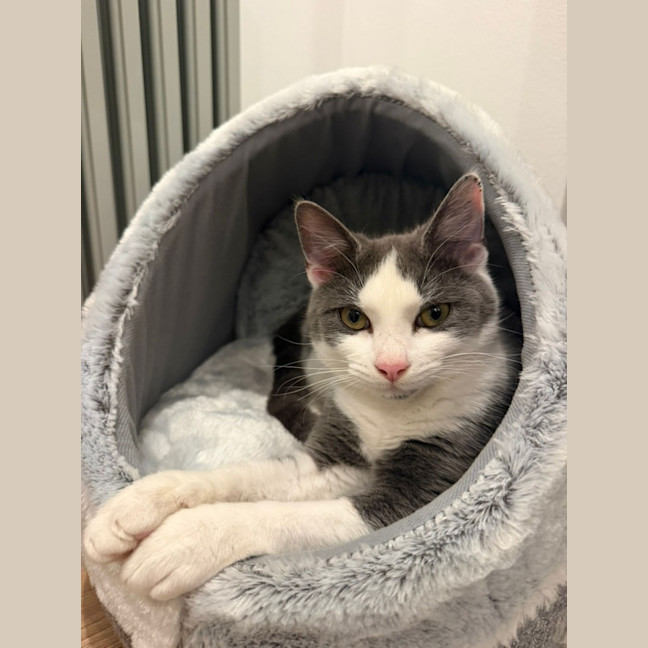 Photo of Oliver