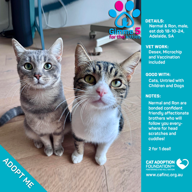 Photo of Nermal And Ron