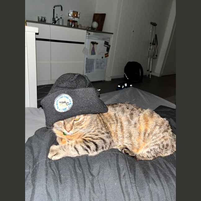 Photo of Patch
