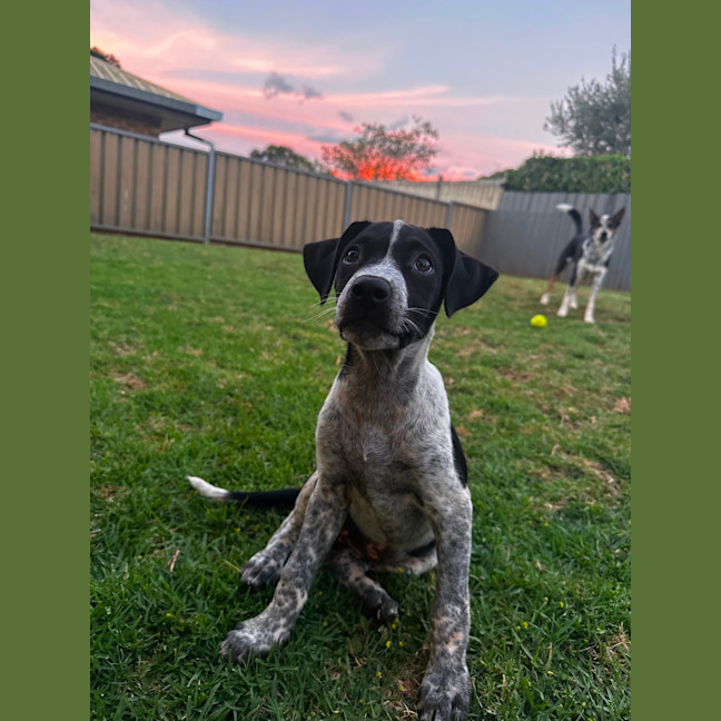Photo of Jessie