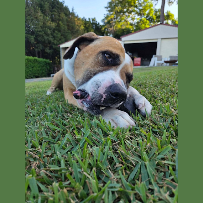 Photo of Malcolm