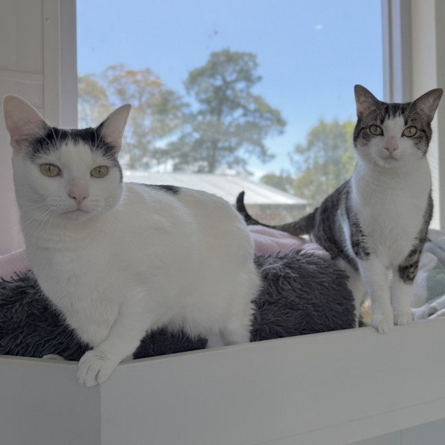 Photo of Mandy & Molly