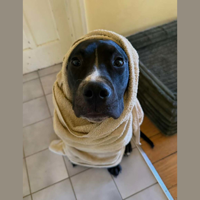 Photo of Luigi