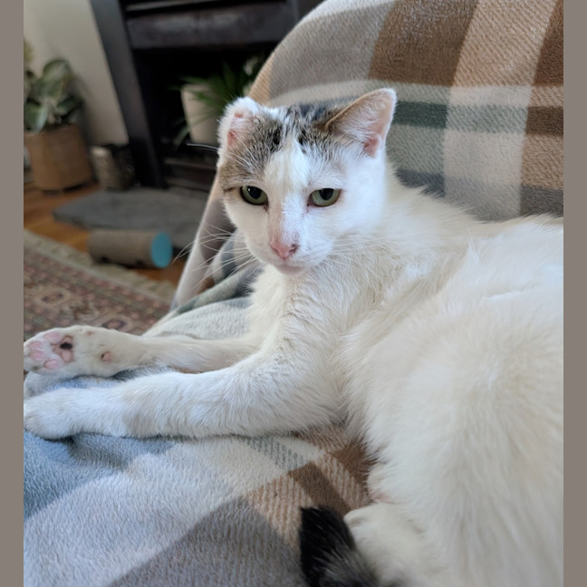 Photo of Lahlah (Was Siggi)