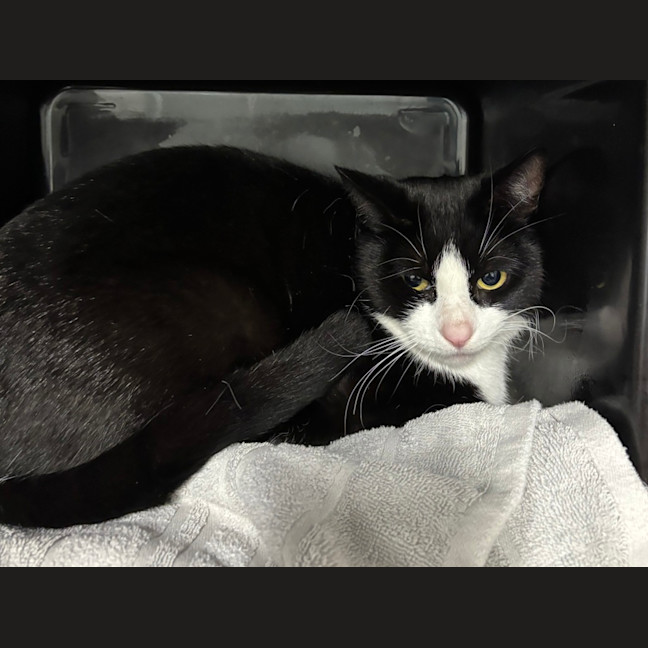 Photo of Kiki