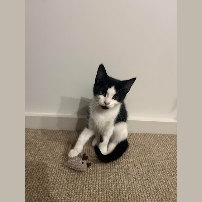 Photo of Olivia Benson & Elliot 