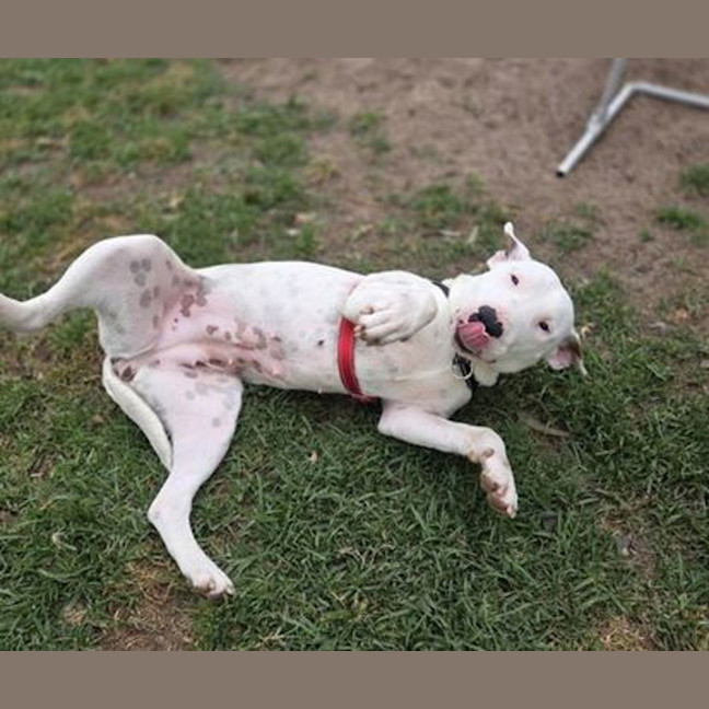 Photo of Roxie