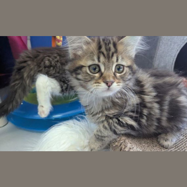 Photo of Zeus