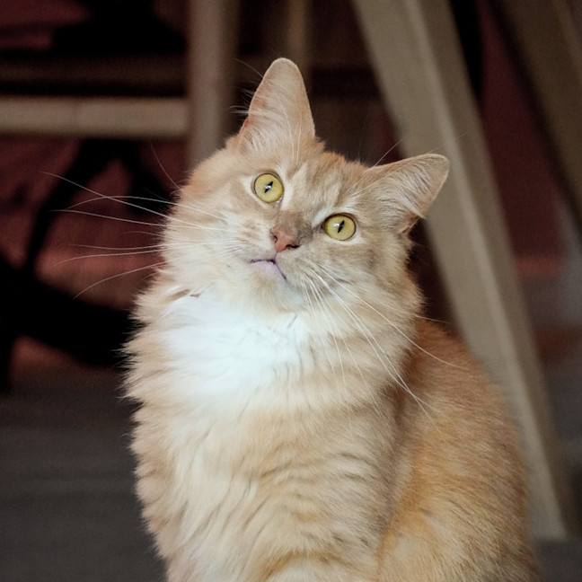 Photo of Sally & Denny