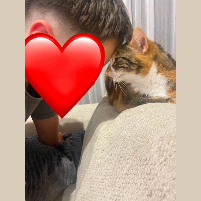 Photo of Mumma Cat