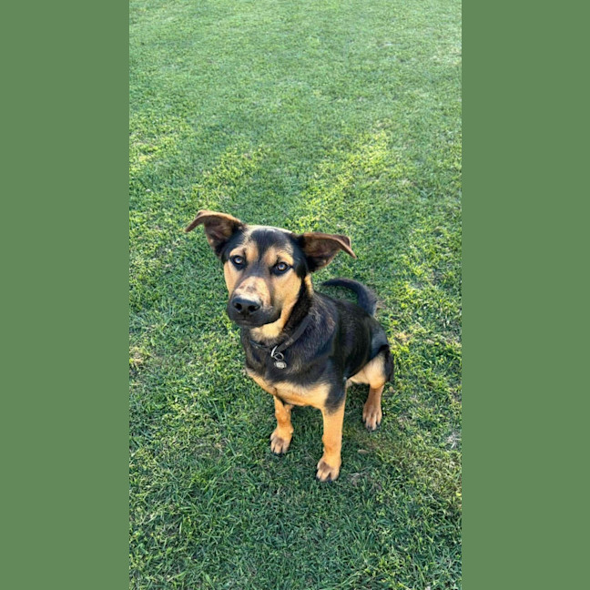 Photo of Mc Gregor Aka Greg 
