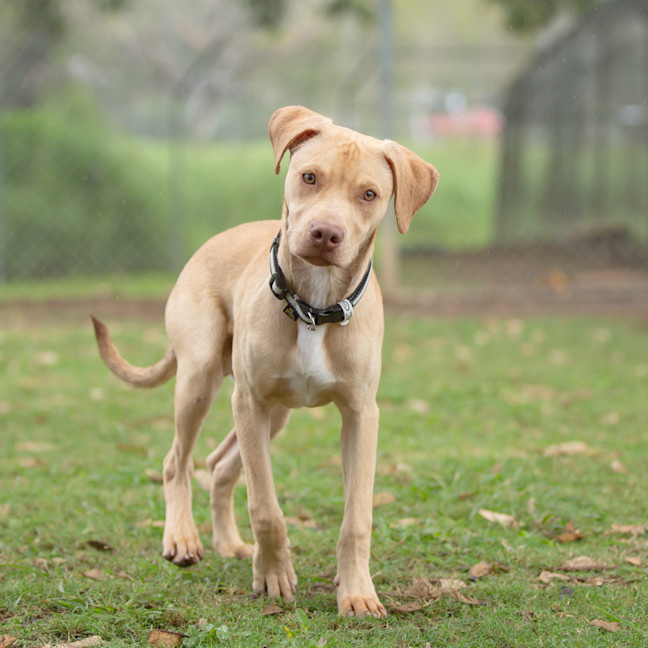 Photo of Cash