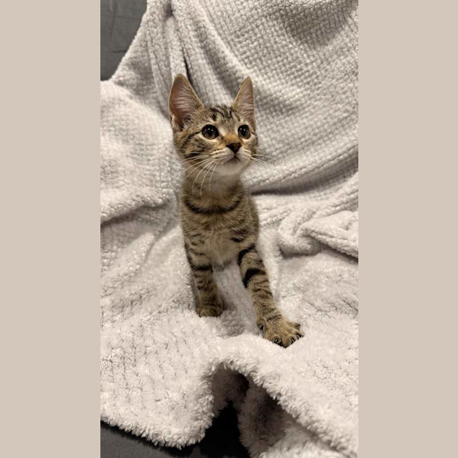 Photo of Mabel