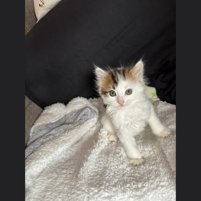 Photo of Milly