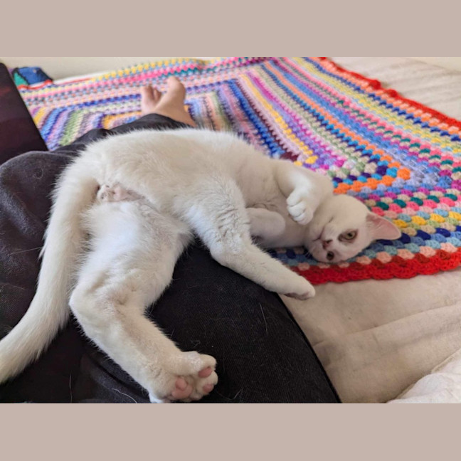 Photo of Parsnip & Yam