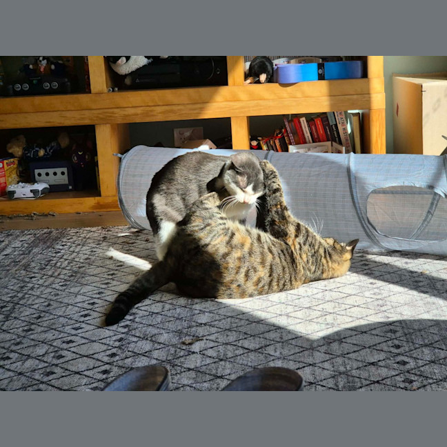 Photo of Stu / Sophie