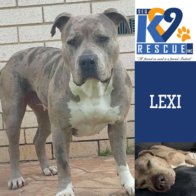 Photo of Lexi