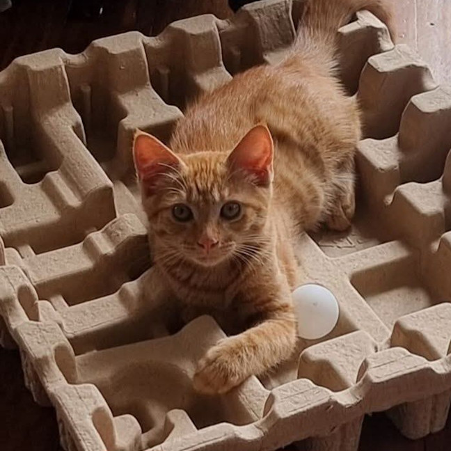 Photo of Hamish