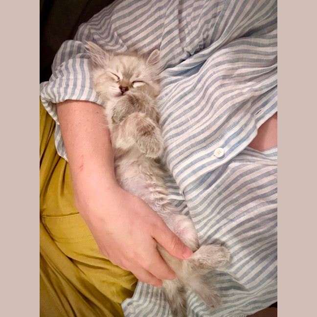 Photo of Olive