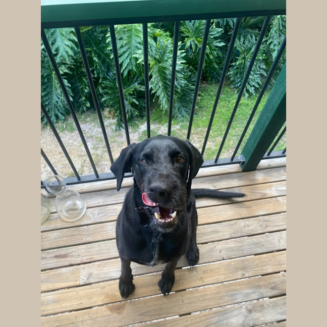 Photo of Jett