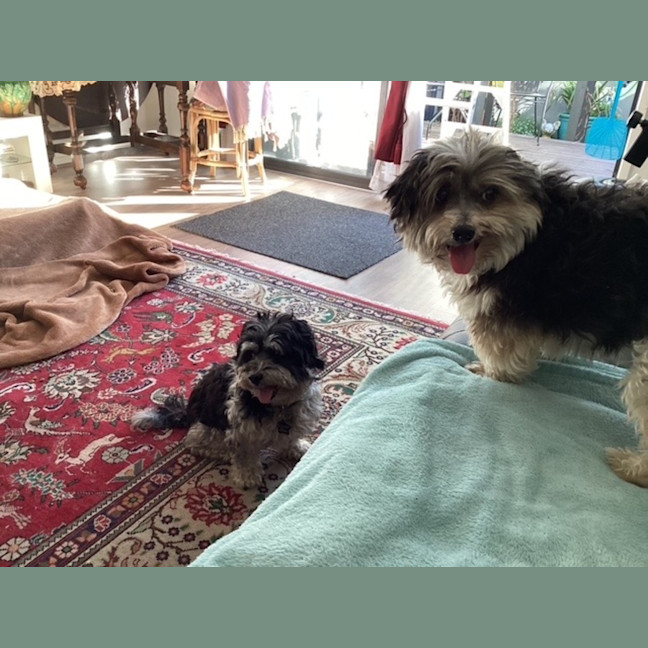 Photo of Libby & Jack