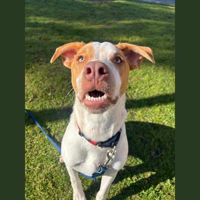 Photo of Rico