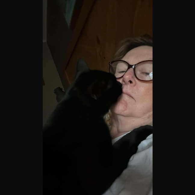 Photo of Morticia 