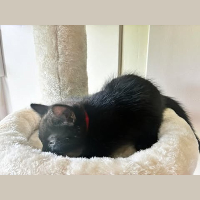Photo of Riley