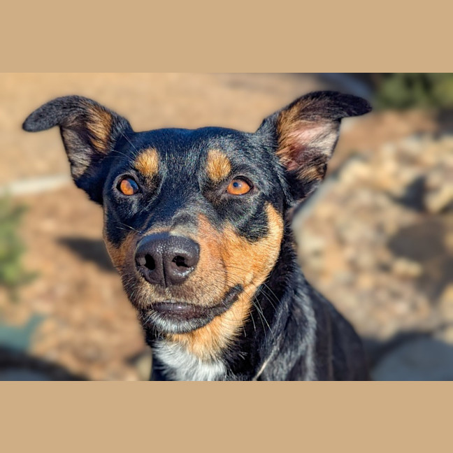 Photo of Isla 