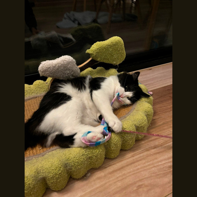 Photo of Esme