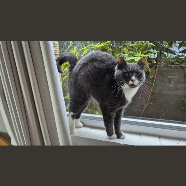 Photo of Butternut