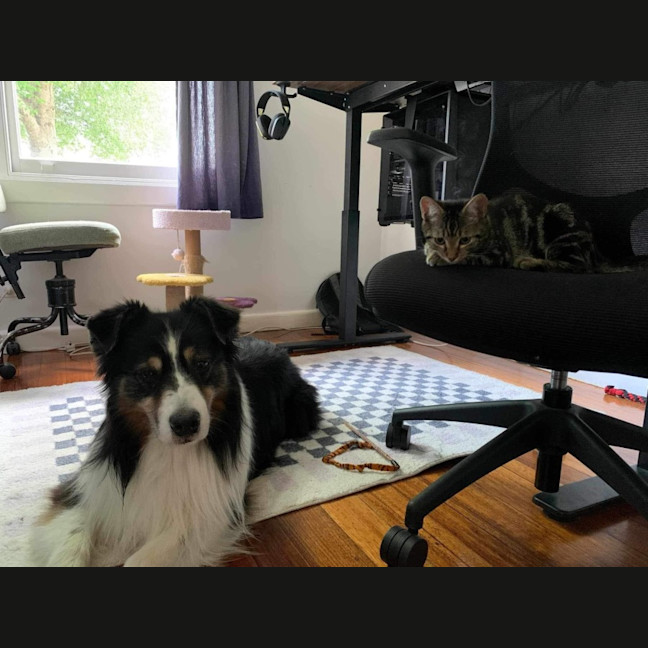 Photo of Velcro And Blu Tac