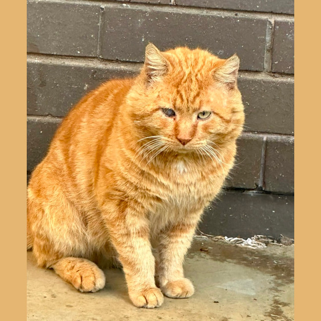 Photo of Ted