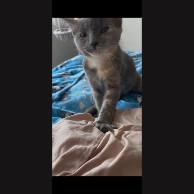 Photo of Baby & Blossom 