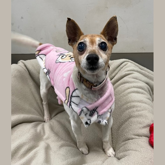 Photo of Tina Turner