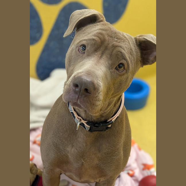 Photo of Molly