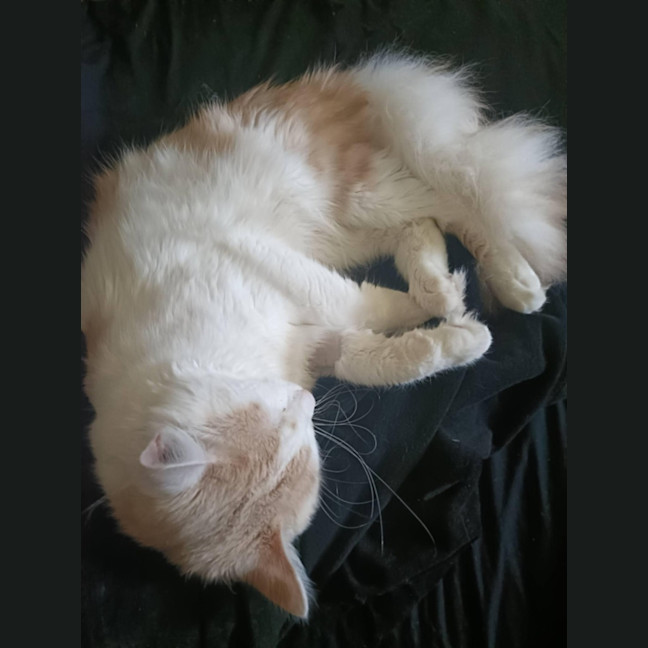 Photo of Dj
