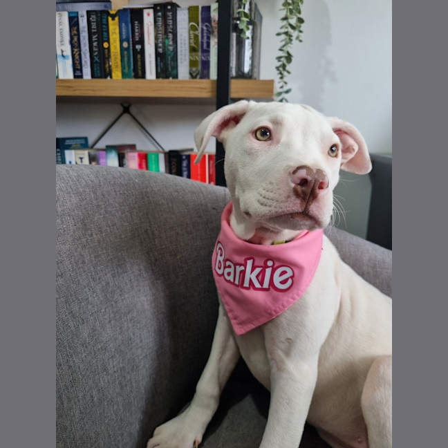 Photo of Winifred (Winnie)