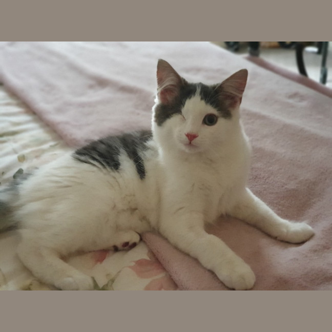 Photo of Pablo Moriarty