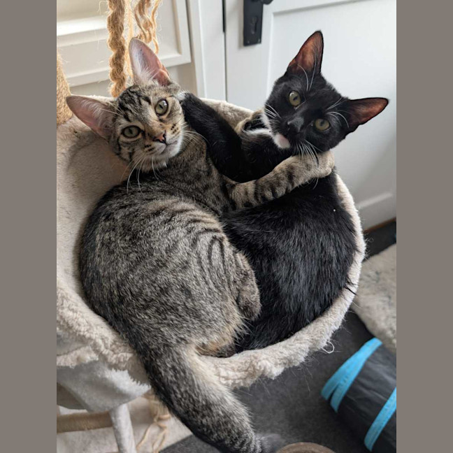 Photo of Millie & Zoe