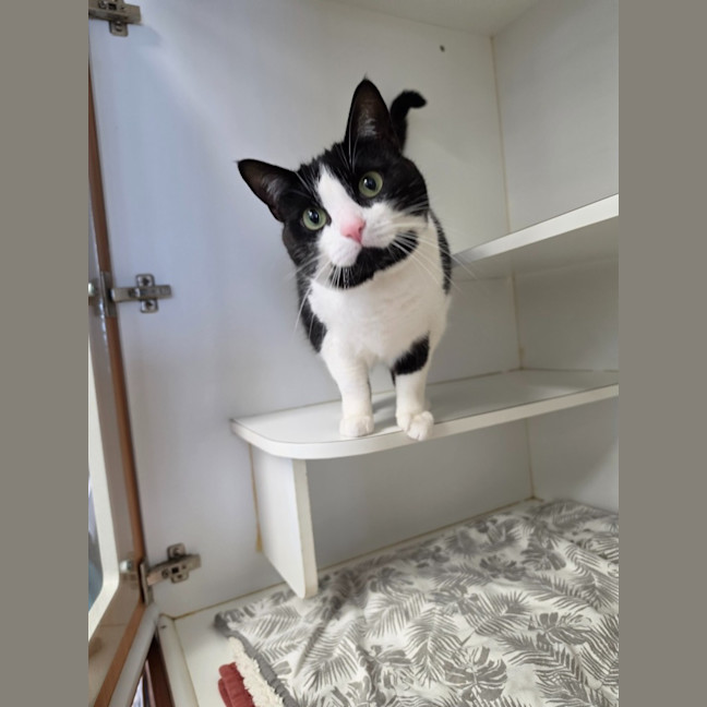 Photo of Penny