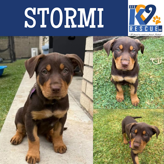 Photo of Stormi