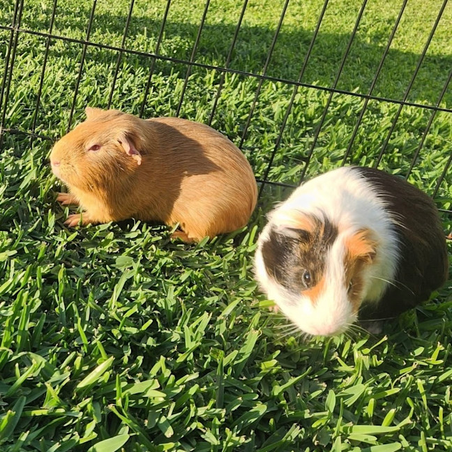 Photo of Zach & Bubbles