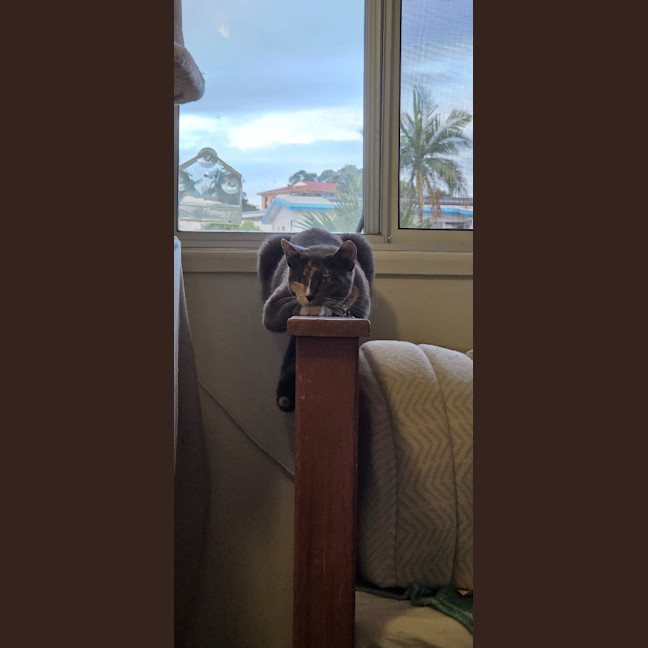Photo of Cali