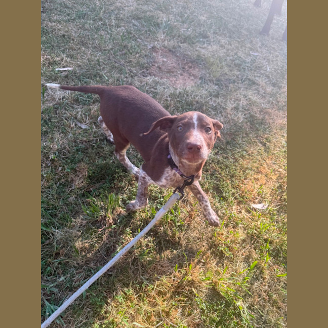 Photo of Buddy