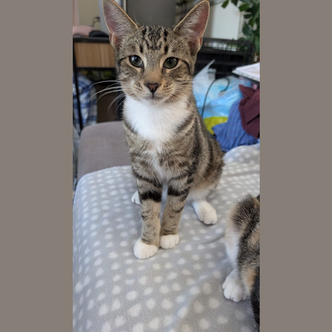Photo of Little Man
